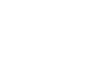 Brave Thinking Institute